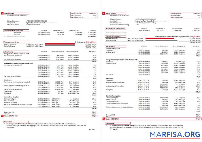 Printable Austria EVN electricity utility bill 5 pages 3 4 real example